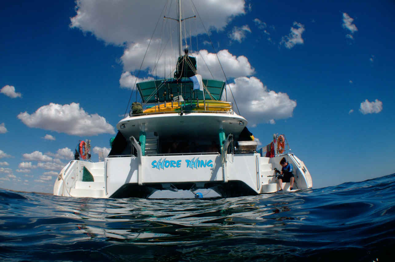 Shore Thing Catamaran