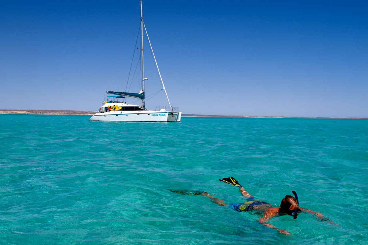 Shore Thing Catamaran