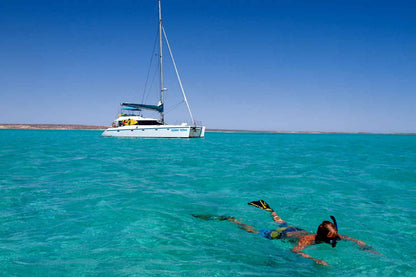 Shore Thing Catamaran