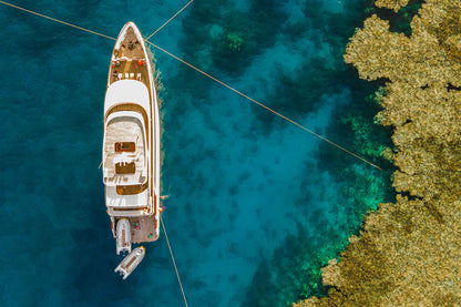 Silky Liveaboard