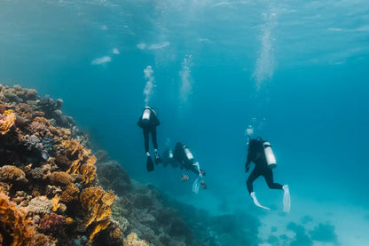 Sindalahs Liveaboard
