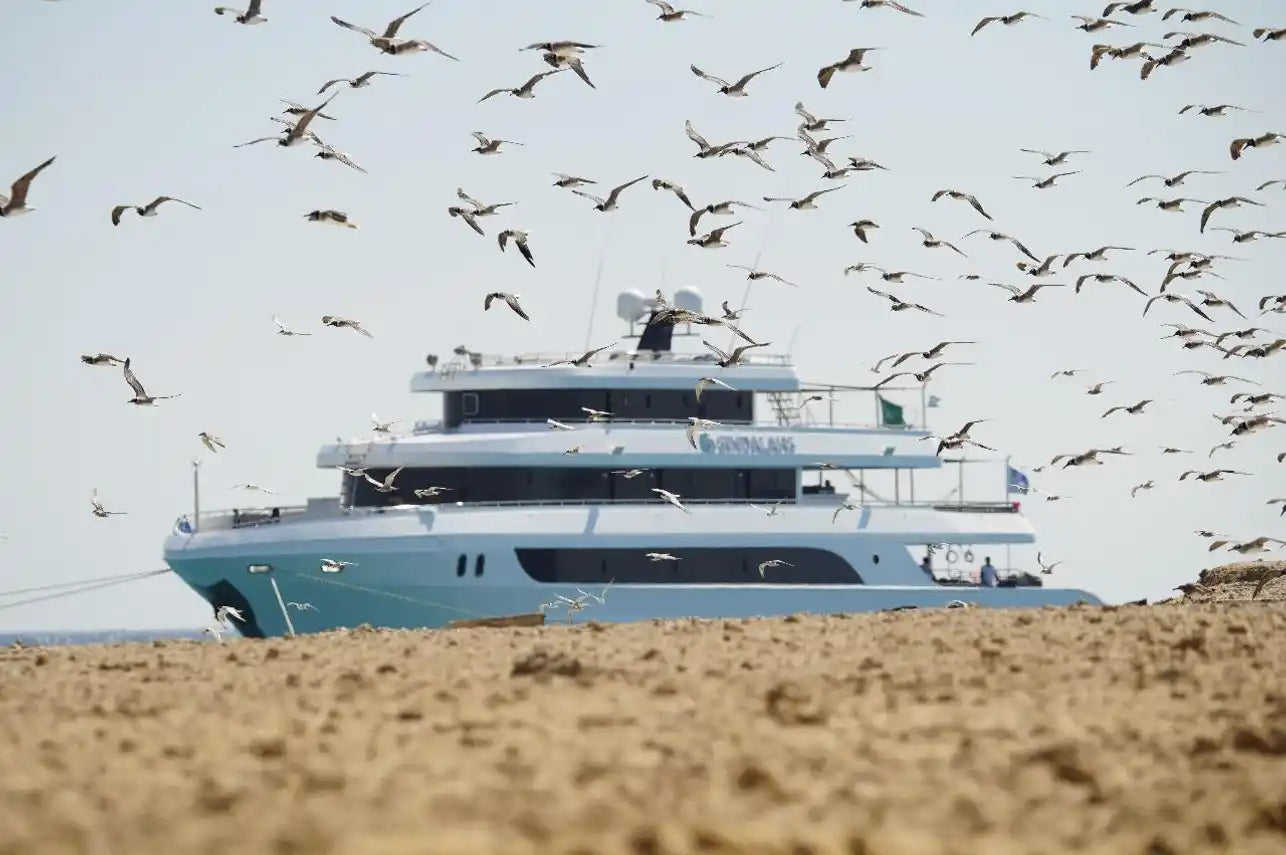 Sindalahs Liveaboard