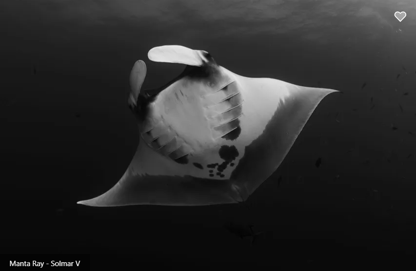 Solmar V Image