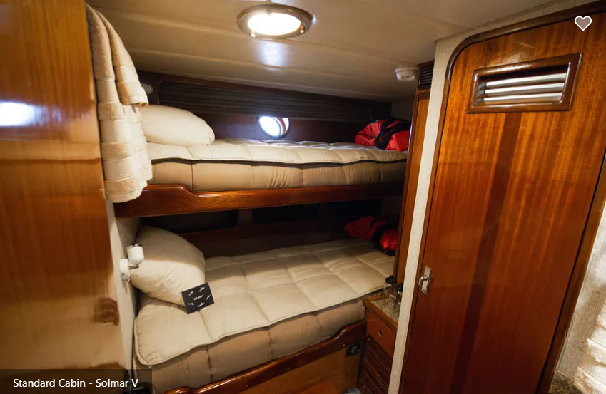 Solmar V