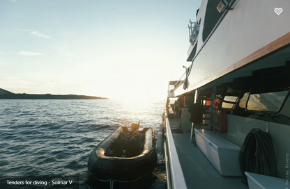 Solmar V