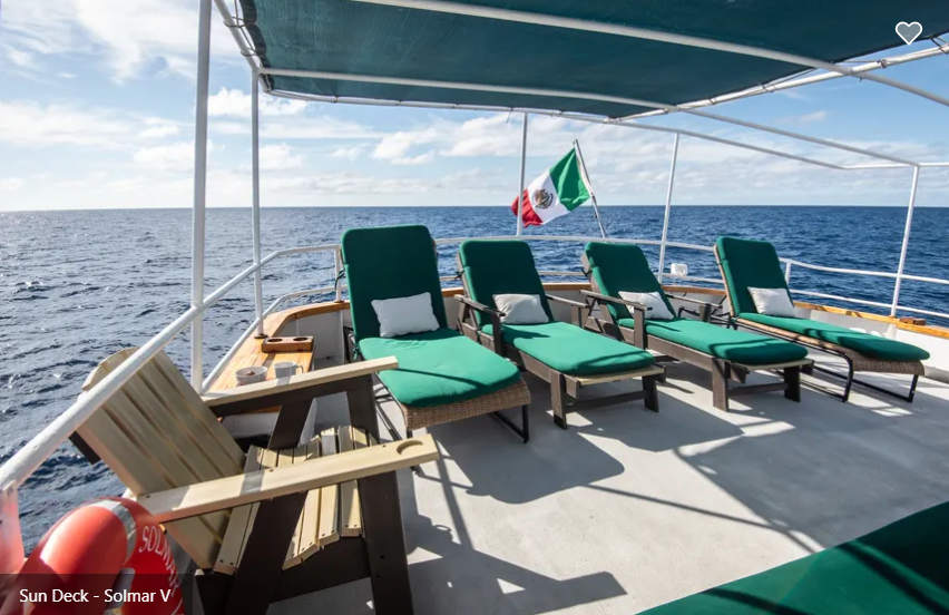 Solmar V