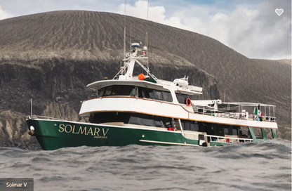 Solmar V
