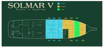 Solmar V