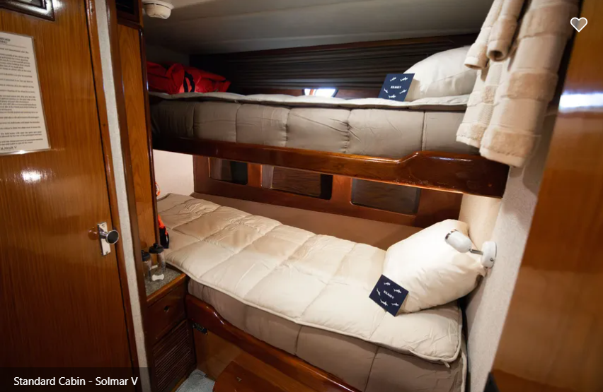 Solmar V