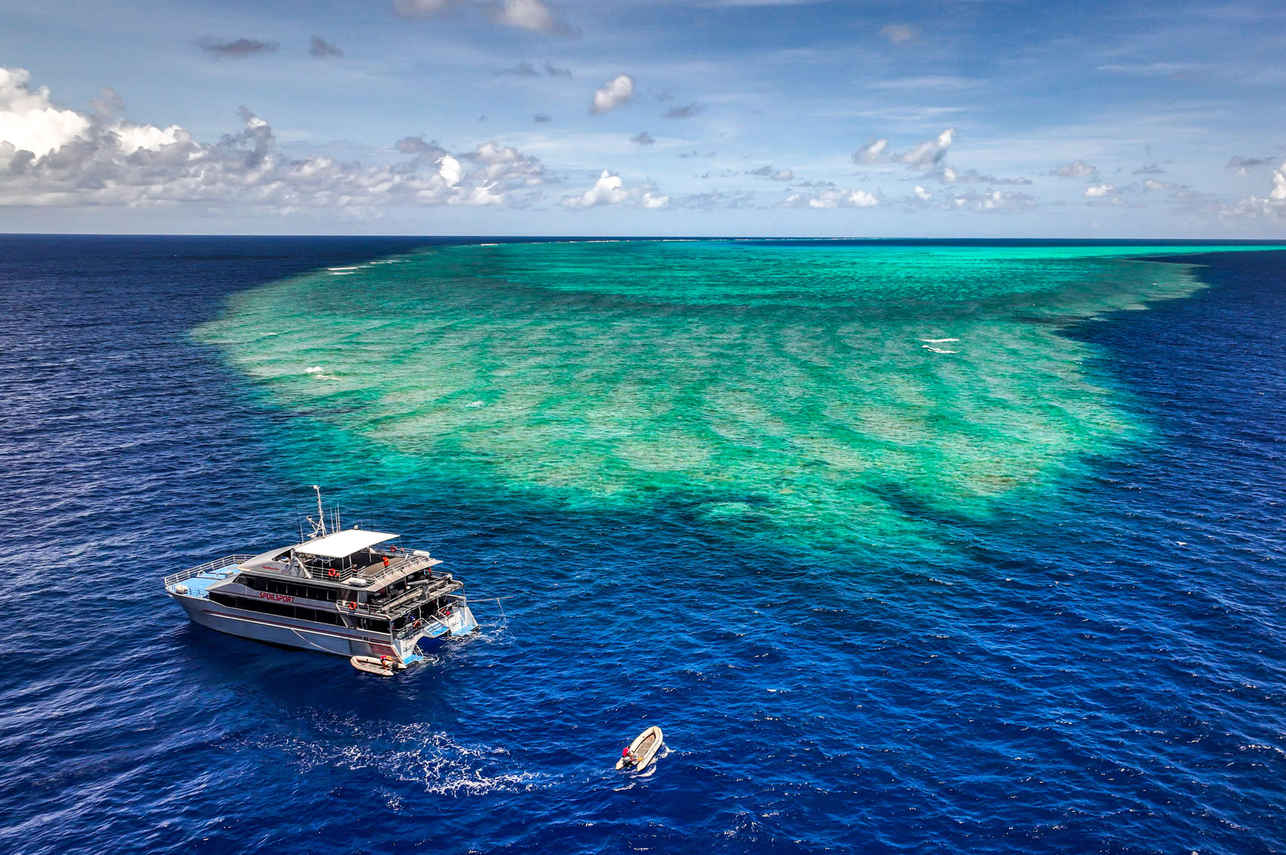 Spoilsport Liveaboard