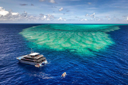 Spoilsport Liveaboard