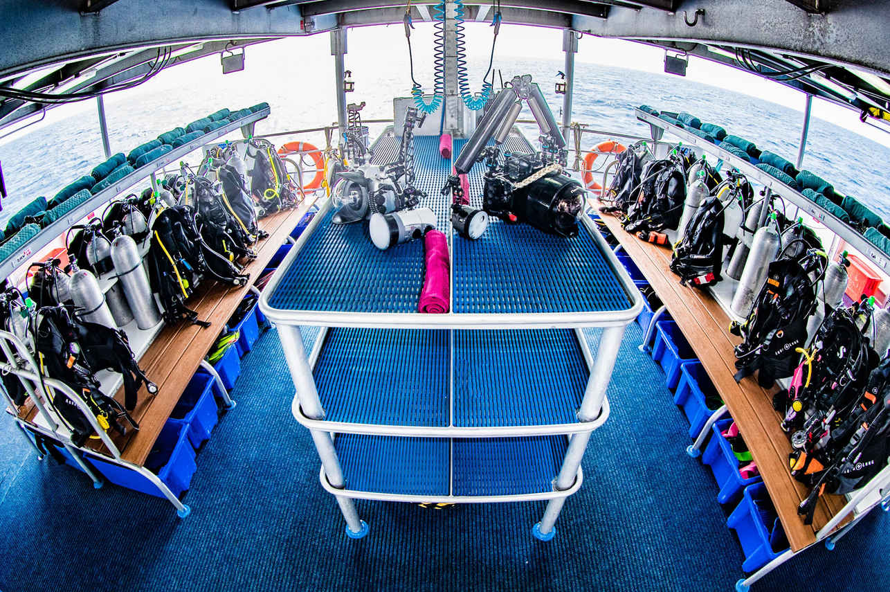 Spoilsport Liveaboard