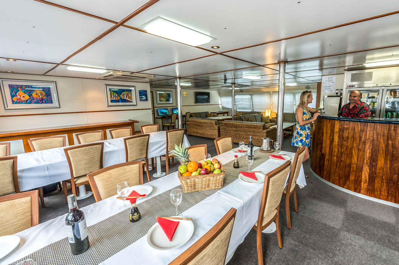 Spoilsport Liveaboard