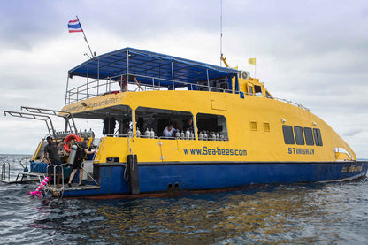 Stingray Liveaboard