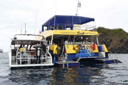Stingray Liveaboard