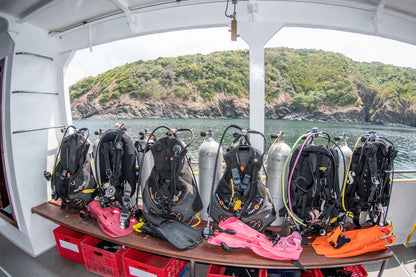 Stingray Liveaboard