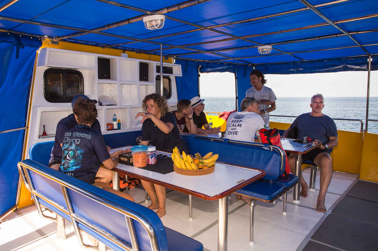 Stingray Liveaboard