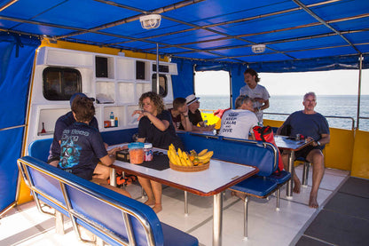 Stingray Liveaboard