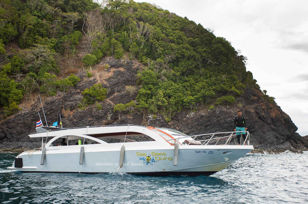 Stingray Liveaboard