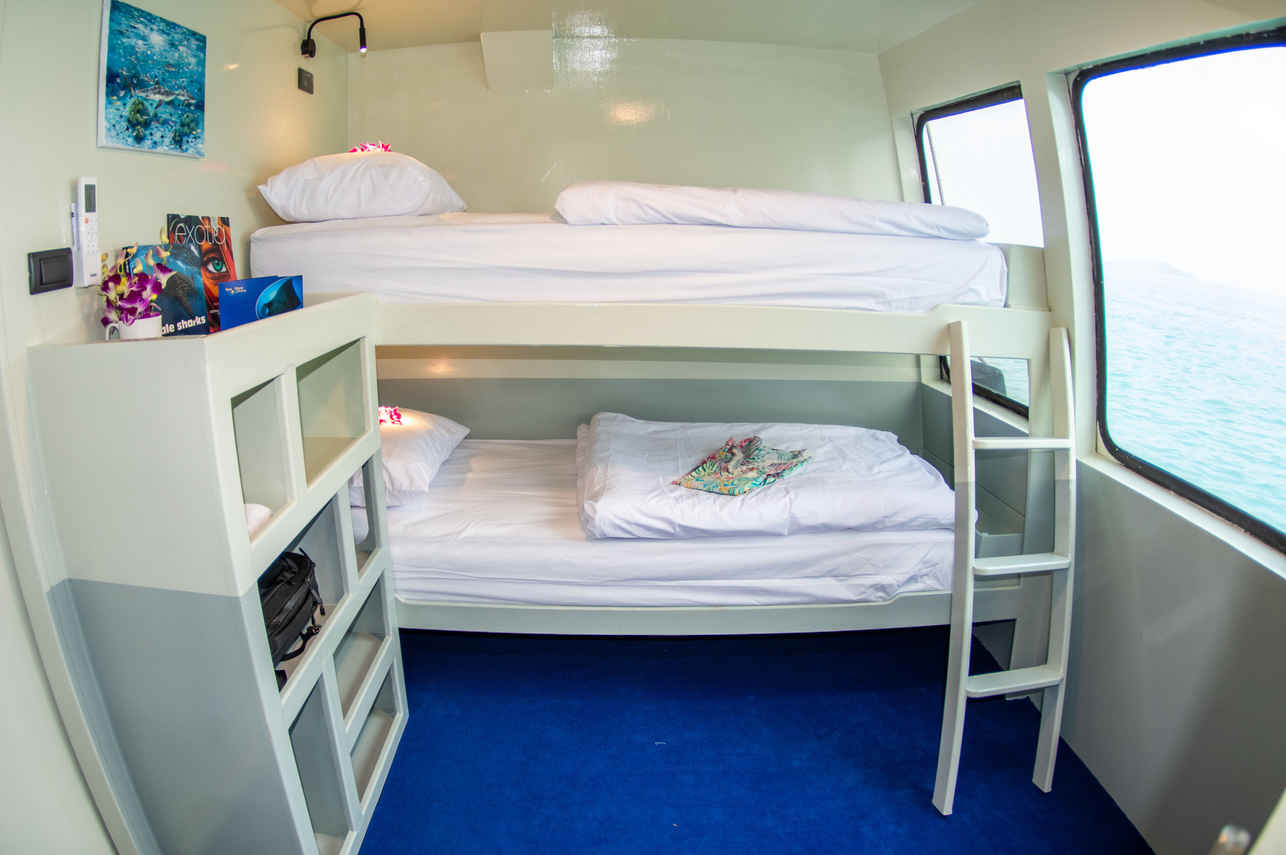 Stingray Liveaboard