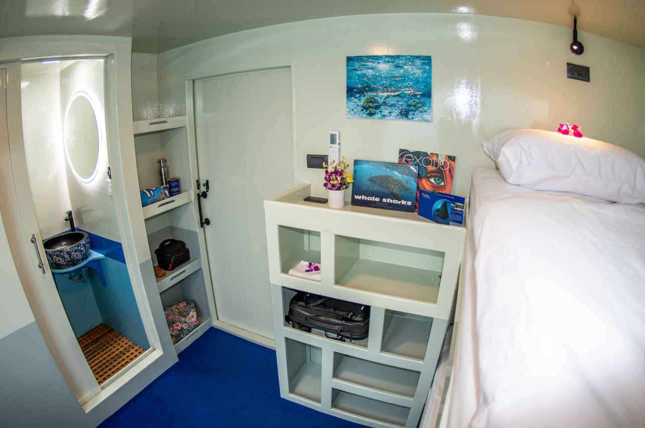 Stingray Liveaboard