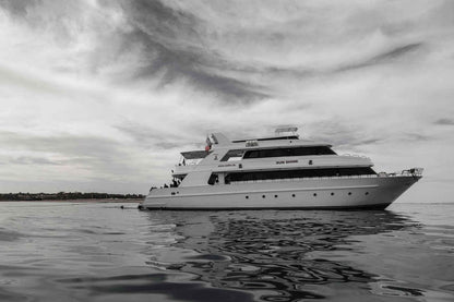 Sunshine Liveaboard