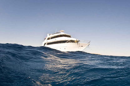 Sunshine Liveaboard