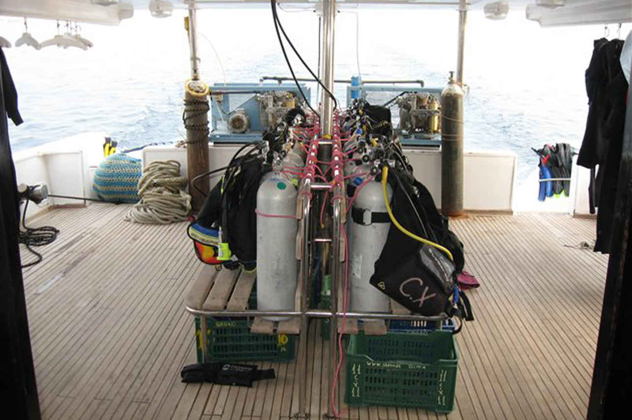 Sunshine Liveaboard
