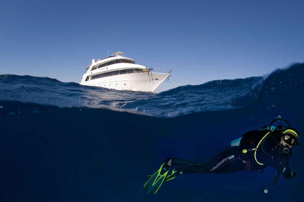 Sunshine Liveaboard