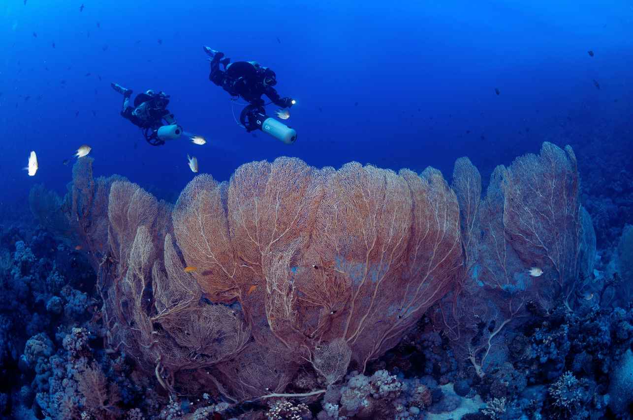 Tala Liveaboard