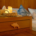 Cabin thumbnail 2