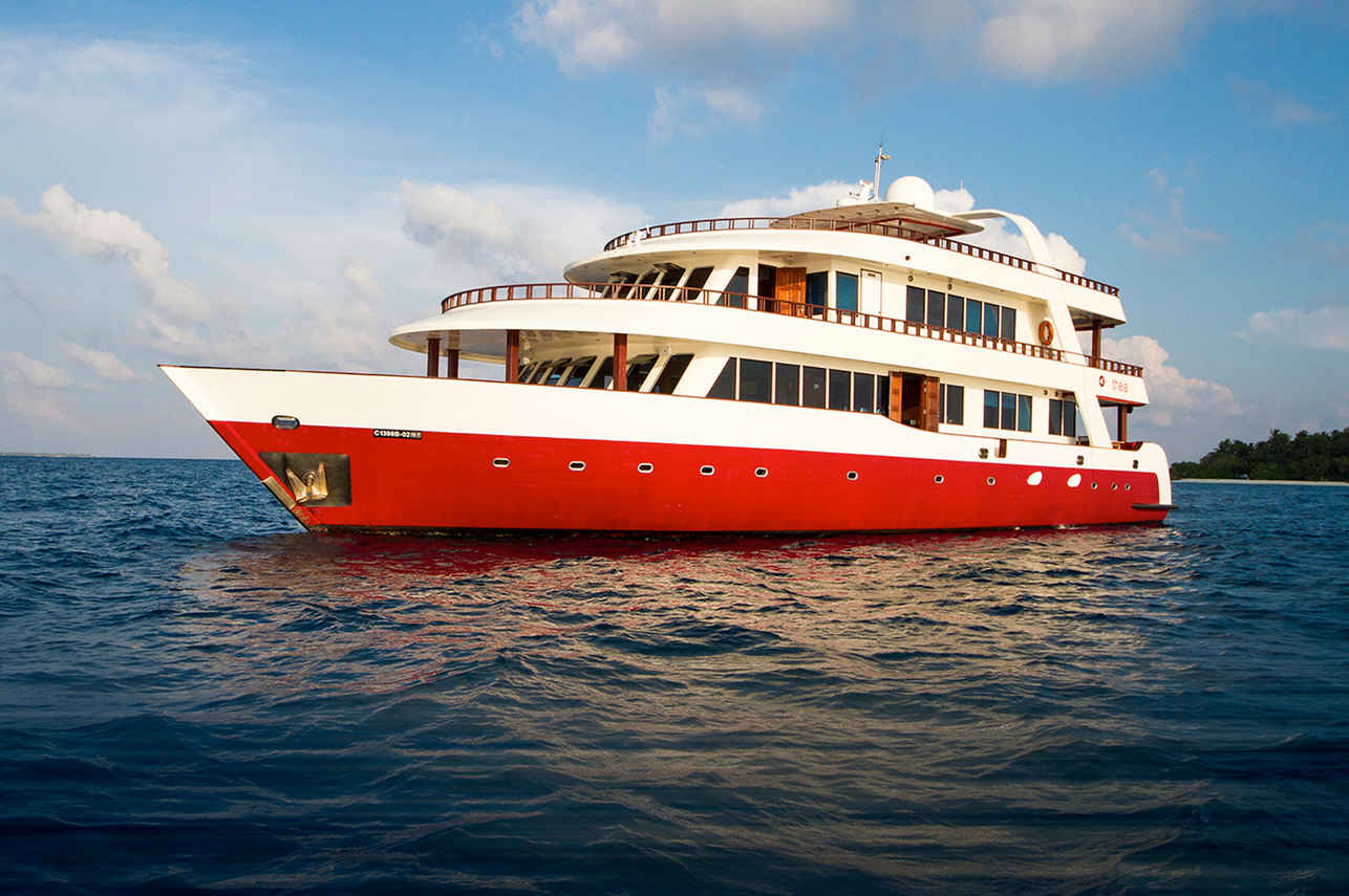 Theia Liveaboard