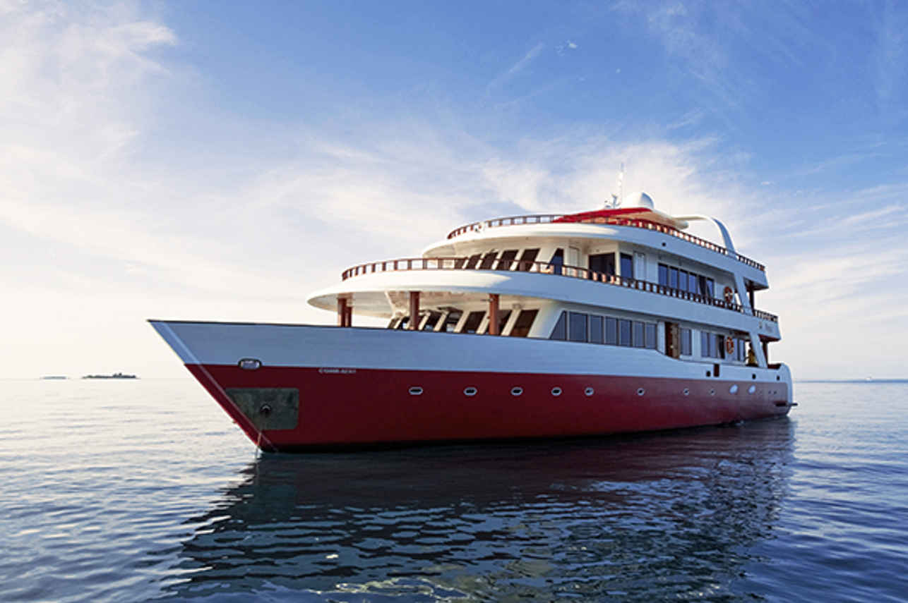 Theia Liveaboard