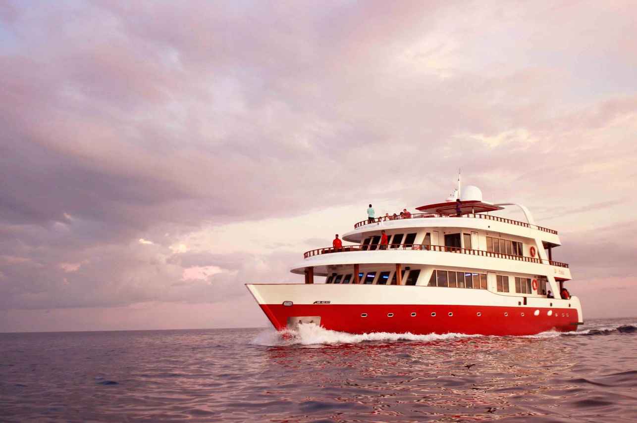 Theia Liveaboard
