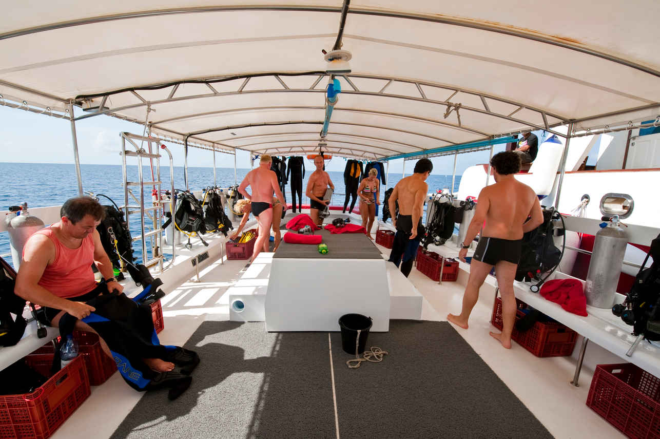 Theia Liveaboard