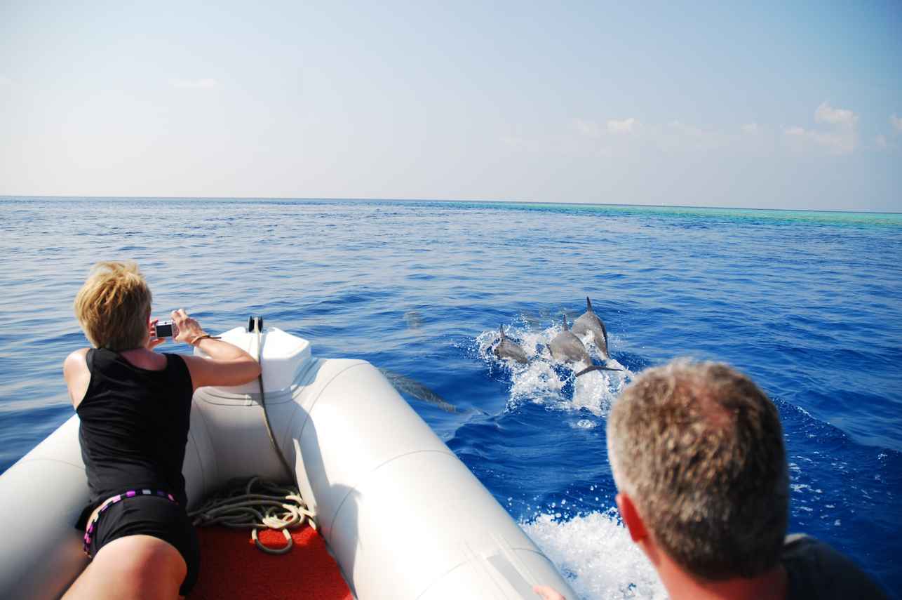 Theia Liveaboard