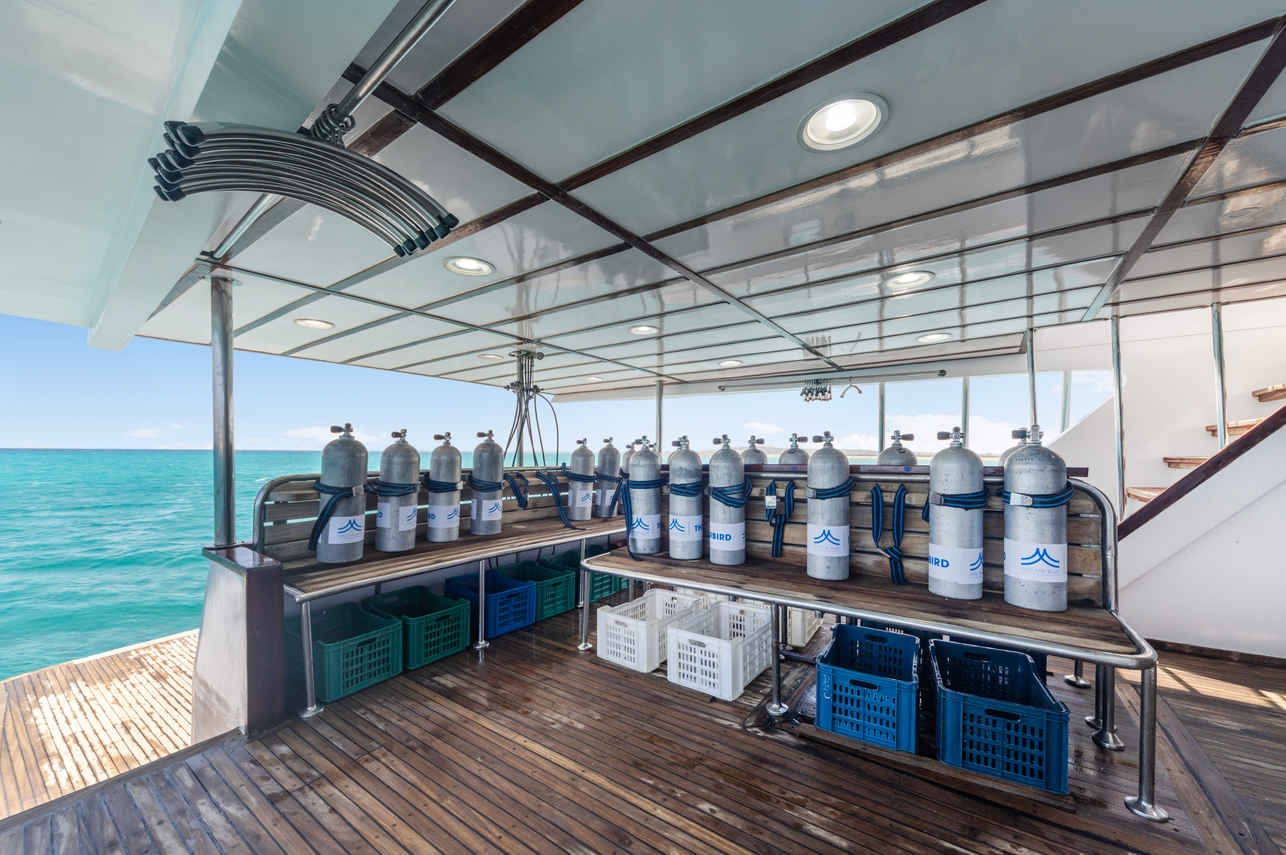 Thunderbird Liveaboard