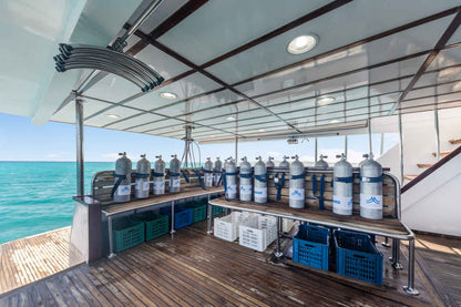 Thunderbird Liveaboard