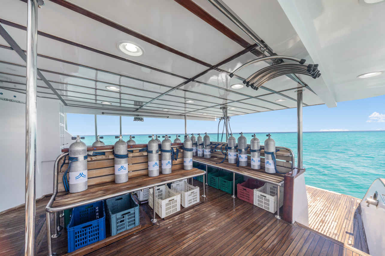 Thunderbird Liveaboard