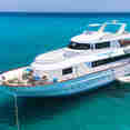 Thunderbird Liveaboard