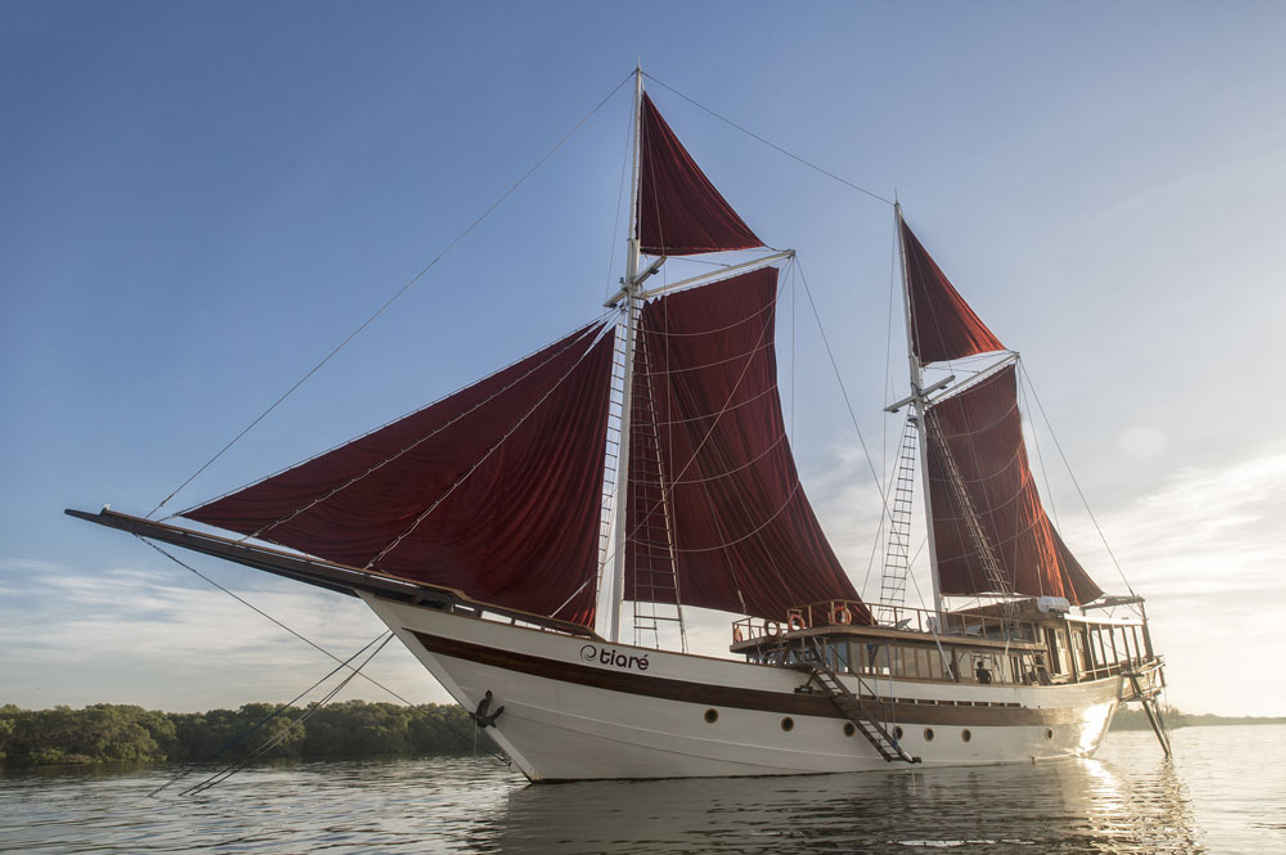 Tiare Cruise Image
