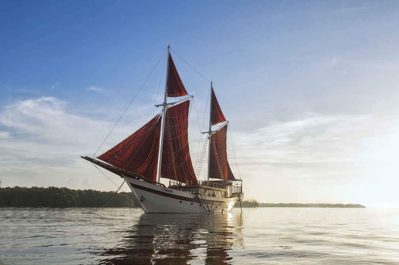 Tiare Cruise Image