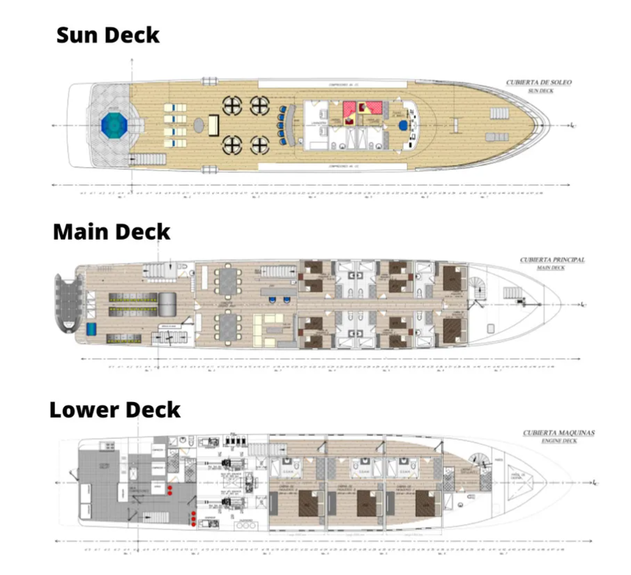 Tiburon Explorer Image
