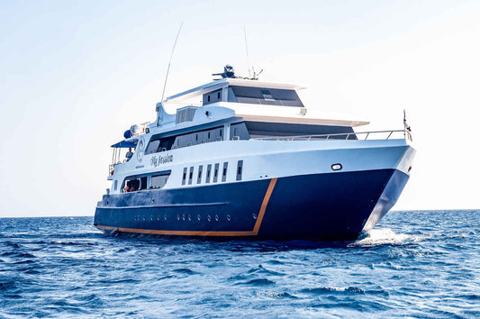 Titan Liveaboard