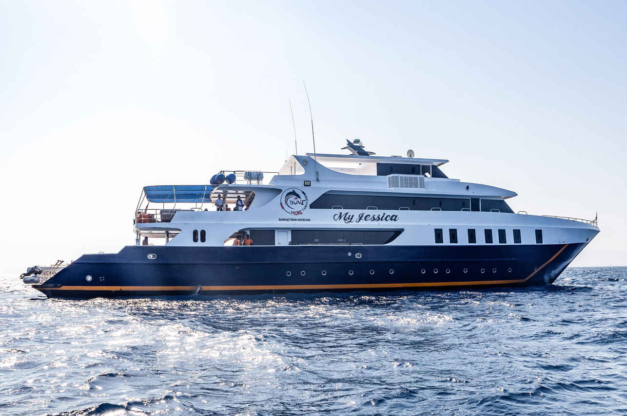 Titan Liveaboard
