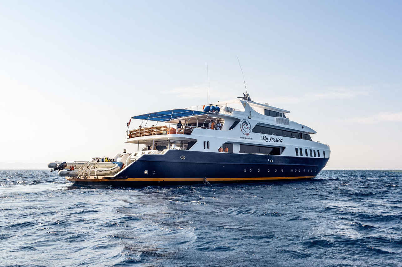 Titan Liveaboard