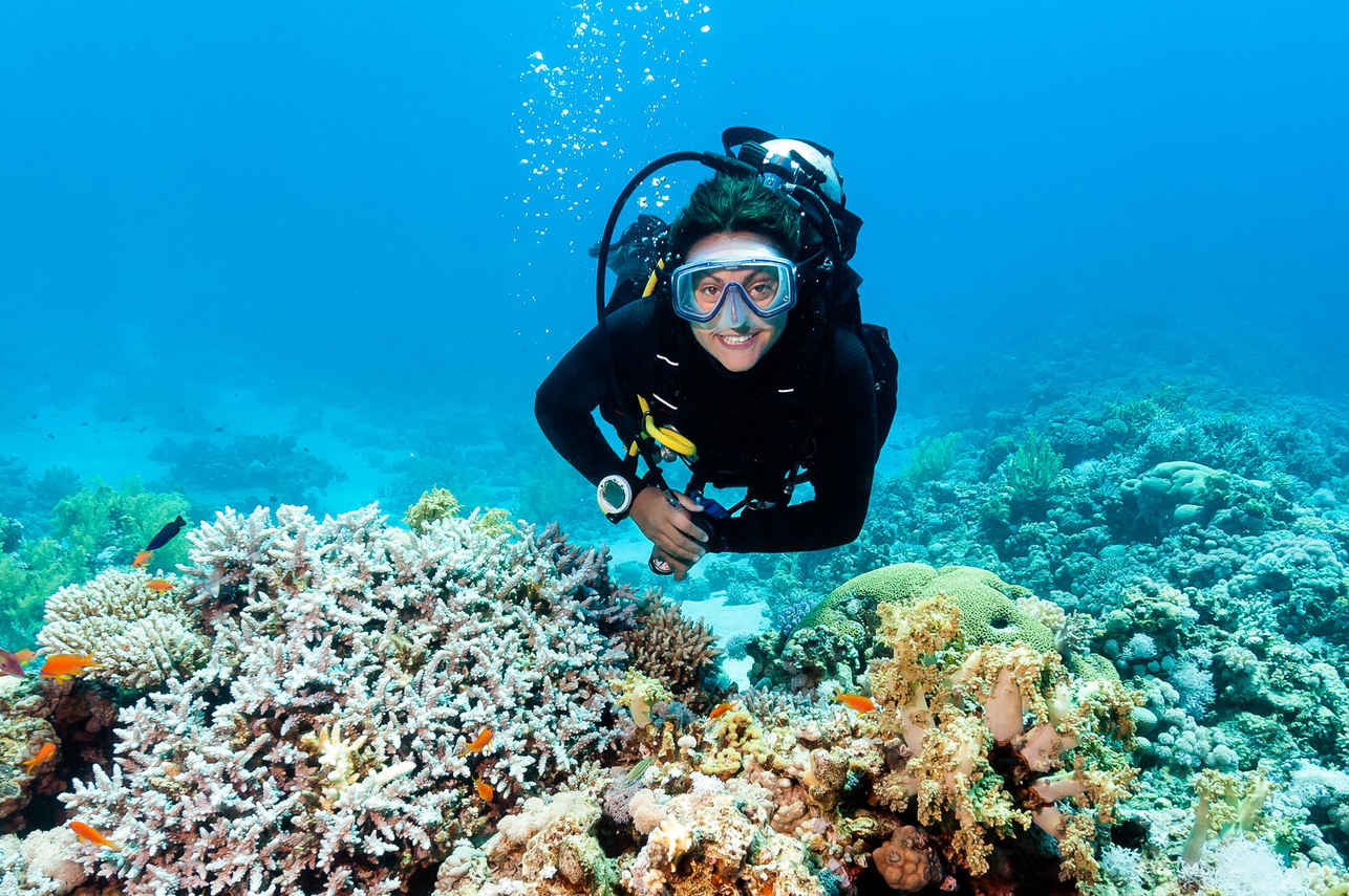 Titan Liveaboard