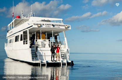 Turks and Caicos Aggressor II
