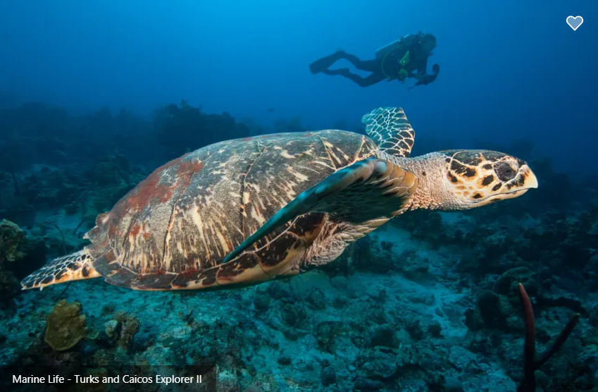 Turks and Caicos Explorer II Image