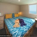 Cabin thumbnail 1